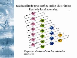 estructura cromosómica y números - Grado 1 - Quizizz