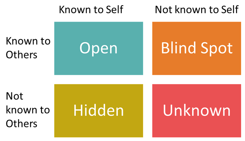 MGT321: Johari Window