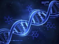 struktur dan replikasi DNA - Kelas 7 - Kuis