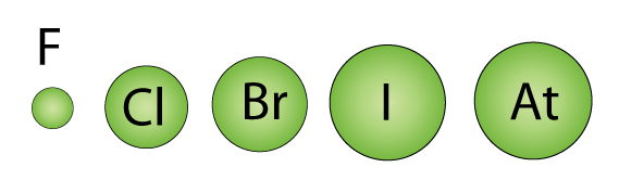 Chữ P - Lớp 12 - Quizizz