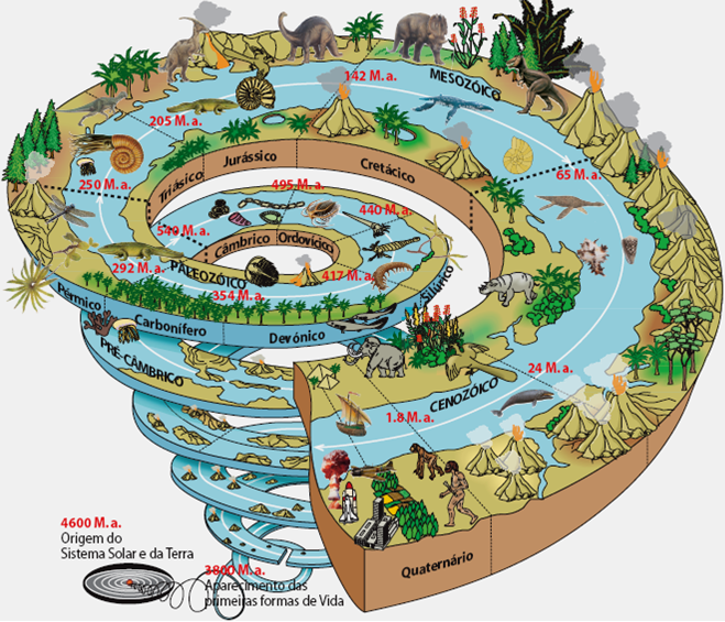 ERAS GEOLÓGICAS | Geography - Quizizz