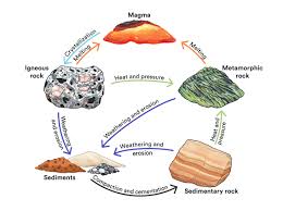 Kylie Gallegos - Rock Cycle Quiz | Science - Quizizz