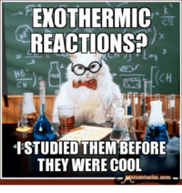endothermic and exothermic processes - Year 9 - Quizizz