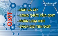 Viết tên - Lớp 8 - Quizizz