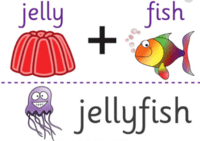 Structure of Compound Words - Class 4 - Quizizz