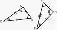 triangles - Class 9 - Quizizz