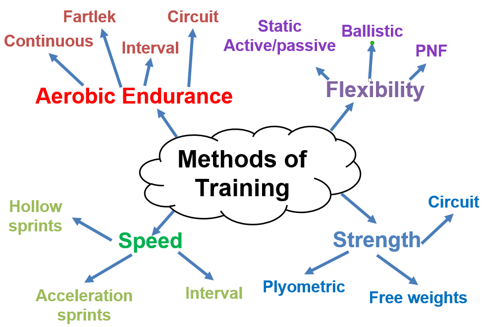 methods-of-training-physical-ed-quiz-quizizz