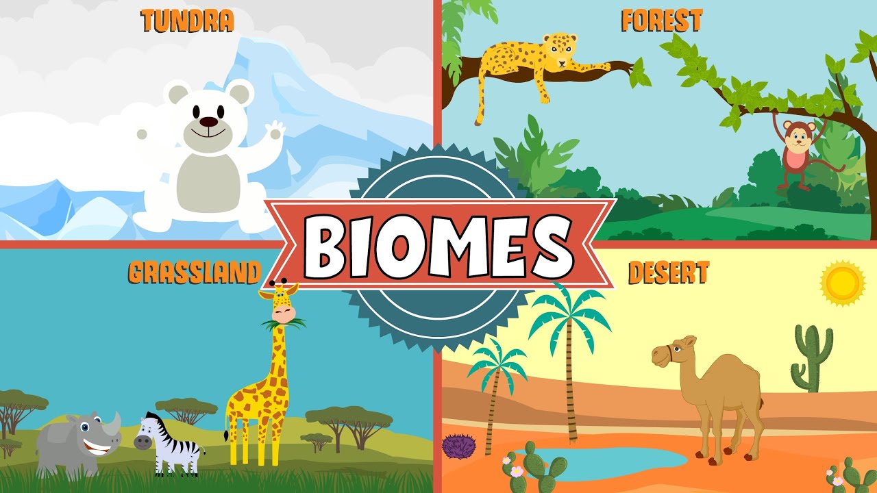 Ecosystems & Biomes