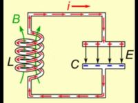 Thỏa thuận chủ ngữ-động từ - Lớp 12 - Quizizz