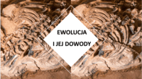 ewolucja i drzewo życia - Klasa 6 - Quiz