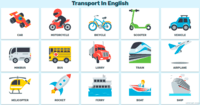 membranas y transporte - Grado 2 - Quizizz