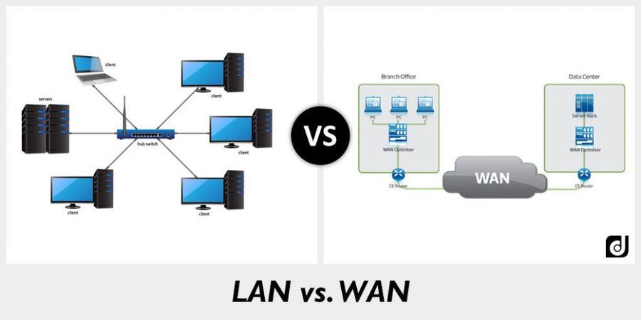 Networks LAN  WAN  Networking Quiz Quizizz