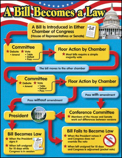 how-a-bill-becomes-a-law-storyboard-per-arlenegap