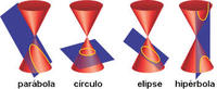 Secciones cónicas - Grado 3 - Quizizz