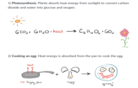 endothermic and exothermic processes - Class 8 - Quizizz