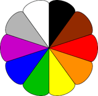 Colores - Grado 7 - Quizizz