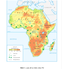các nước ở Châu Phi - Lớp 4 - Quizizz