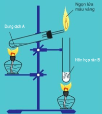 hóa thạch - Lớp 11 - Quizizz