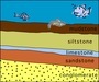 Fossils, Sedimentary Rock