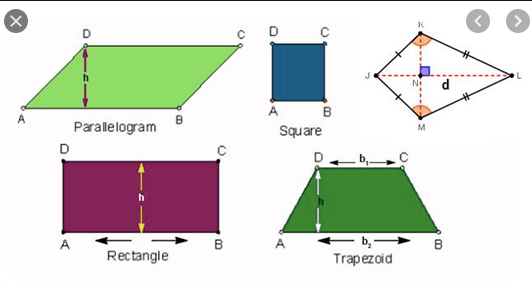 Area Of Parallelograms, Trapezoids, Rhombus, Kites | 646 Plays | Quizizz