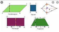 area of rectangles and parallelograms - Year 12 - Quizizz