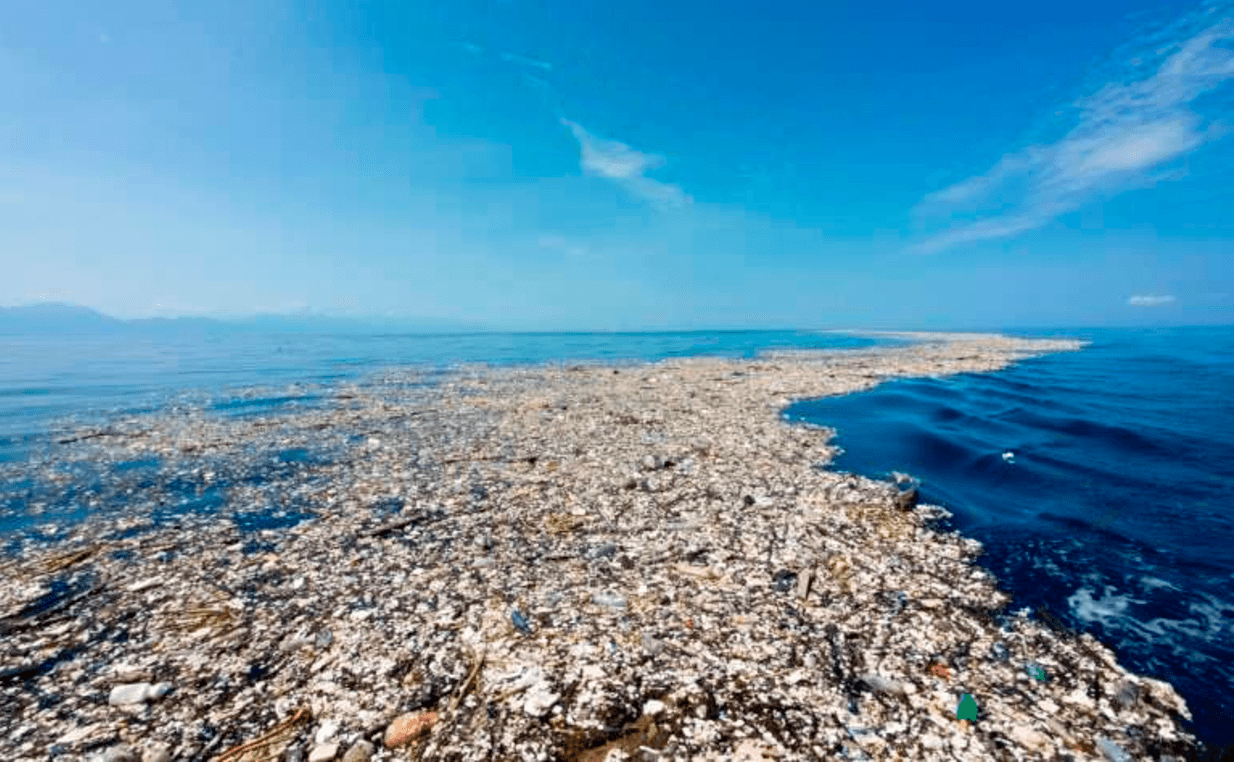 Plastic In Our Oceans 401 Plays Quizizz   44ed70b7 4c05 4b6b 9aea Dc8d5a158015