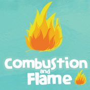 Class 8 Combustion and Flame