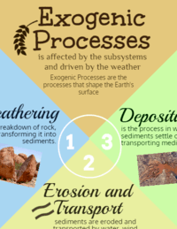 Exogenic Processes