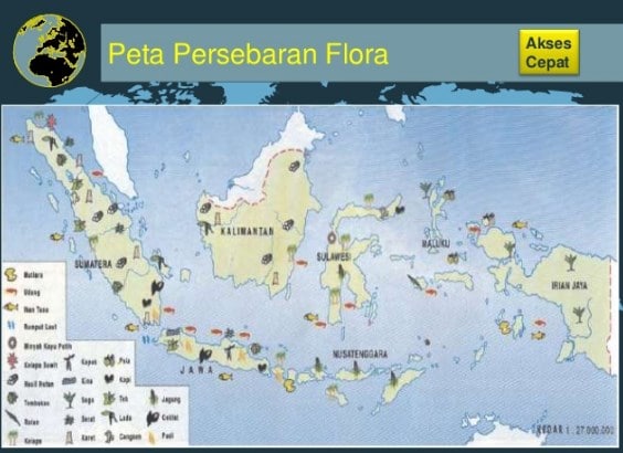 Flora Dan Fauna Indonesia Social Studies Quiz Quizizz