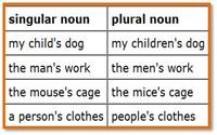 Apostrophes in Plural Possessive Nouns - Grade 7 - Quizizz