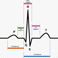 EKG - ระดับชั้น 11 - Quizizz