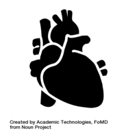 the circulatory and respiratory systems - Year 4 - Quizizz