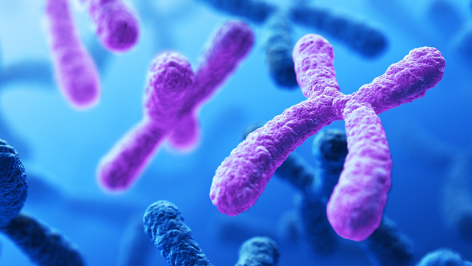 Genetics Practice Mendelian Non Mendelian Science Quizizz   455c9f13 7c5c 4a23 A379 B46705fda45f