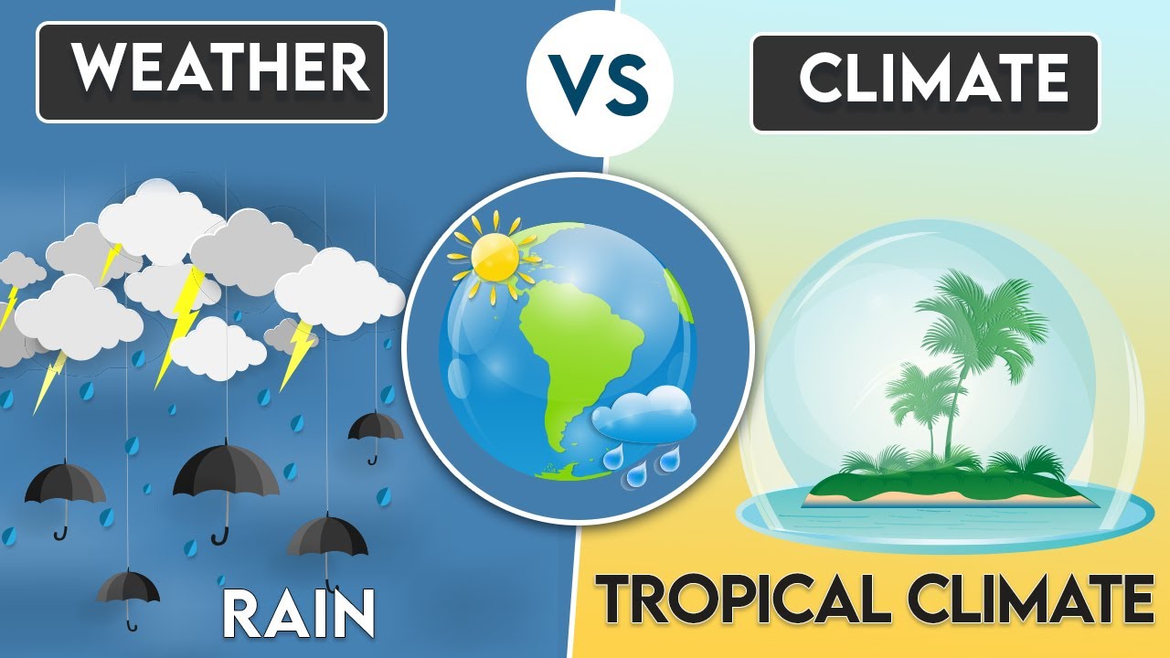 Weather vs Climate | 1.3K plays | Quizizz