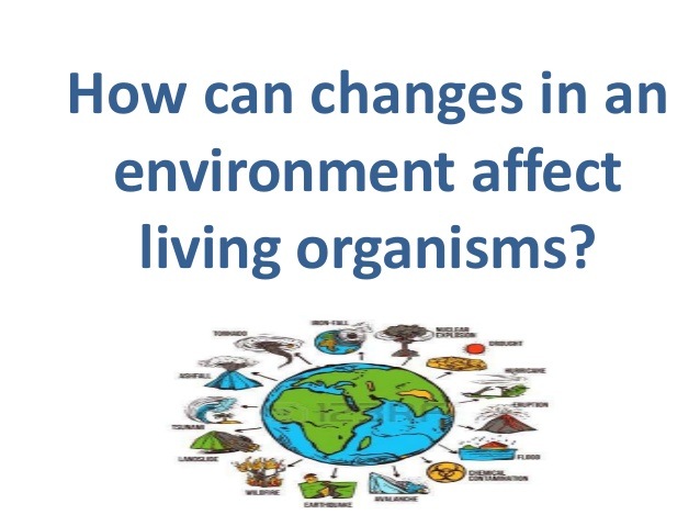 how-do-living-things-affect-the-environment-quizizz