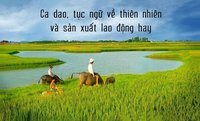 thuyết tương đối đặc biệt - Lớp 7 - Quizizz