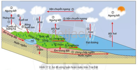 Lực lượng và tương tác - Lớp 8 - Quizizz