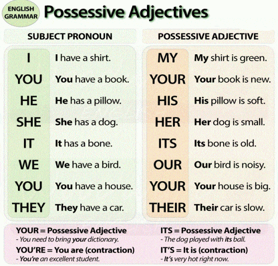 possessive-pronouns-adjectives-exercise-worksheet-nouns-teachers-board