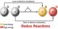 redox reactions and electrochemistry - Class 5 - Quizizz