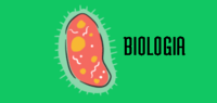 biología vegetal - Grado 12 - Quizizz