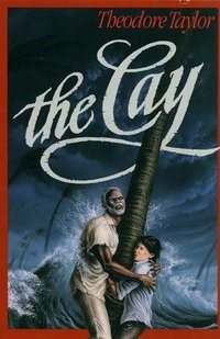 The Cay Chapters 1-10