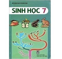 hệ thống tuần hoàn khí quyển và thời tiết - Lớp 7 - Quizizz