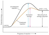 equilibrium constant and reaction quotient - Class 10 - Quizizz