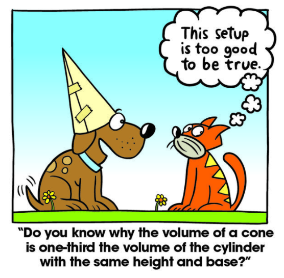 Volume of Cylinders and Cones Reviews