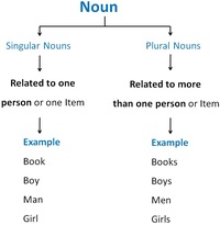 Singular Nouns - Class 3 - Quizizz
