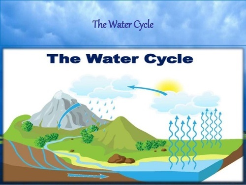 Water Cycle and Weather | 1.8K plays | Quizizz