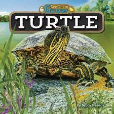 Painted Turtles | Quizizz