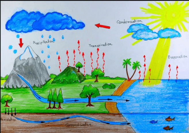 The Water Cycle Questions & Answers For Quizzes And Tests - Quizizz