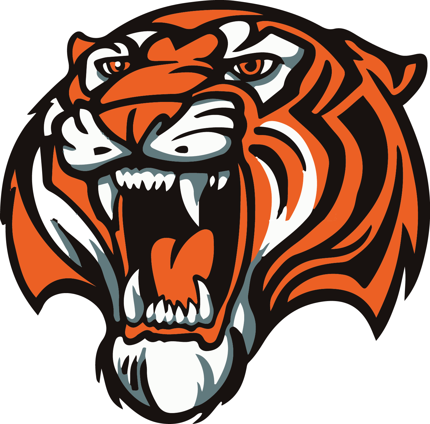 Tiger Camp Quiz! | Quizizz