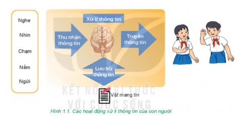 Tạo kết nối trong sách phi hư cấu Flashcards - Quizizz